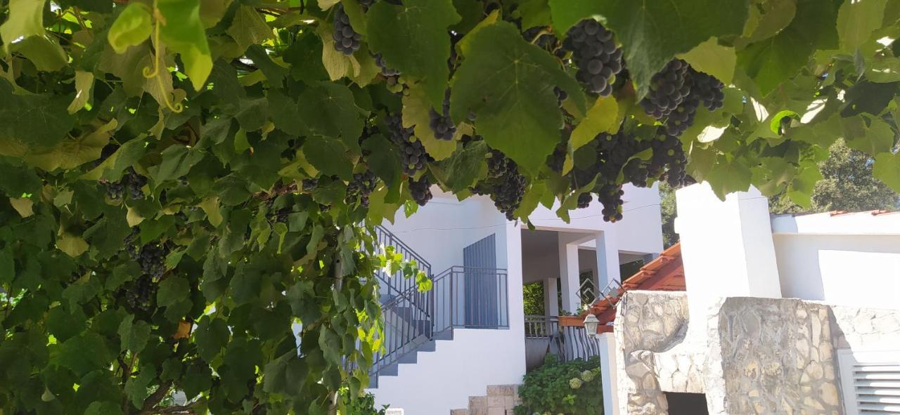 Apartment Lavanda Nova Ražanj Екстериор снимка