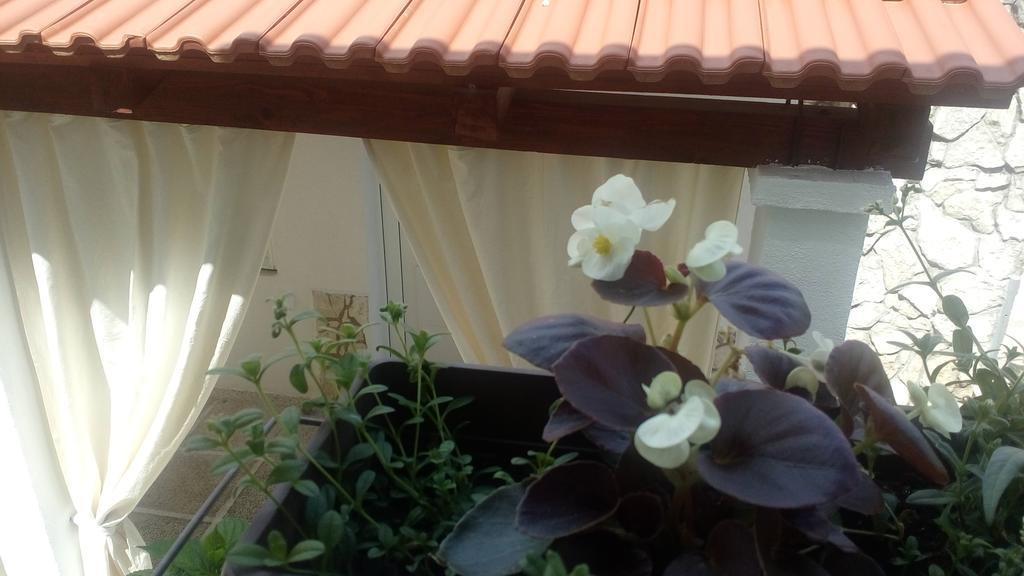 Apartment Lavanda Nova Ražanj Екстериор снимка