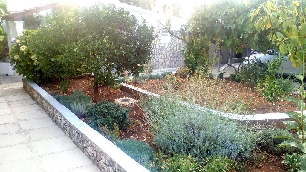 Apartment Lavanda Nova Ražanj Екстериор снимка